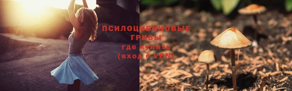 ГАЛЛЮЦИНОГЕННЫЕ ГРИБЫ Балахна