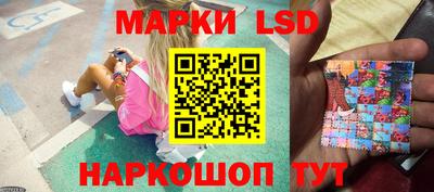 прущие грибы Нальчик