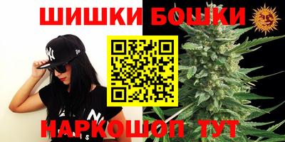 прущие грибы Нальчик