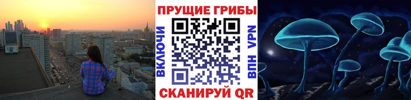 Псилоцибиновые грибы GOLDEN TEACHER  Печора 