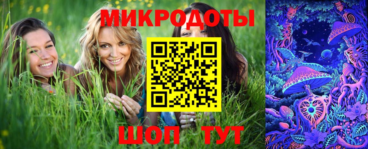 Псилоцибиновые грибы Psilocybe Печора