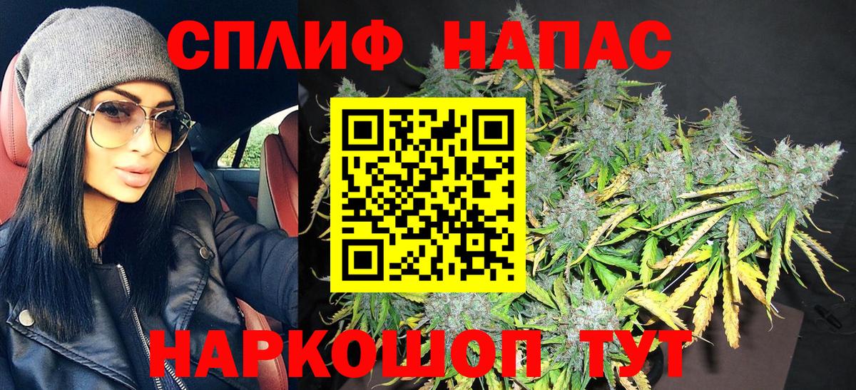 Конопля MAZAR Печора